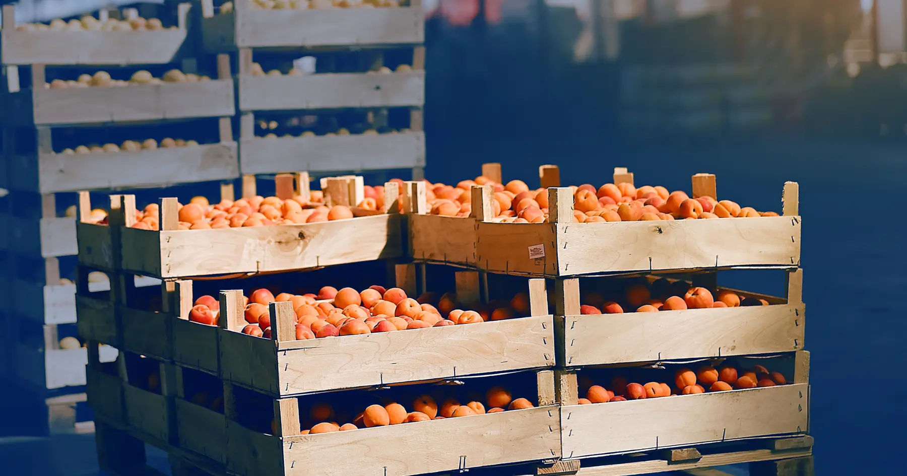 5 Ways Grocers Can Manage Tariffs and Protect Margins